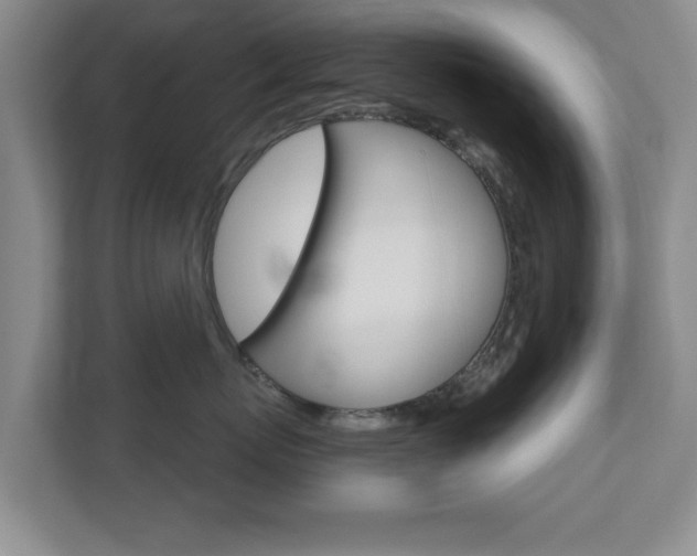 X0000110920767200906181216