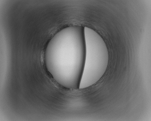 X0000110920768200906181216