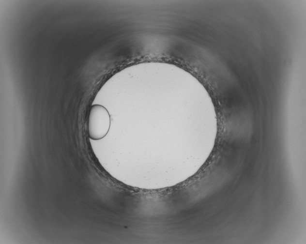 X0000110920769200906181215