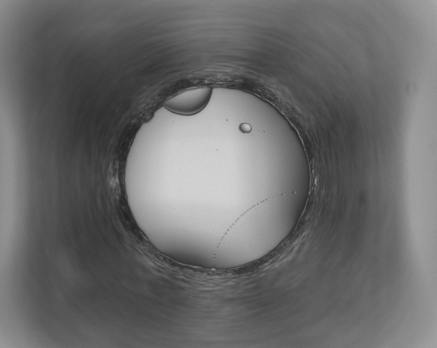 X0000110920771200906181215