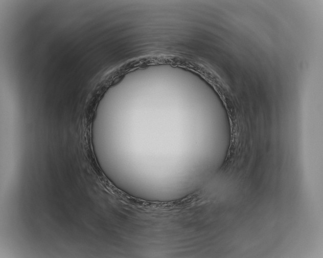 X0000110920773200906181215