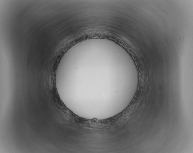 X0000110920774200906181215