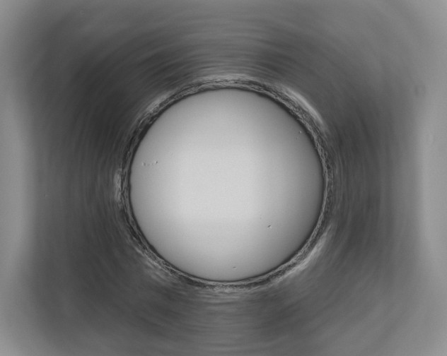 X0000110920777200906181215