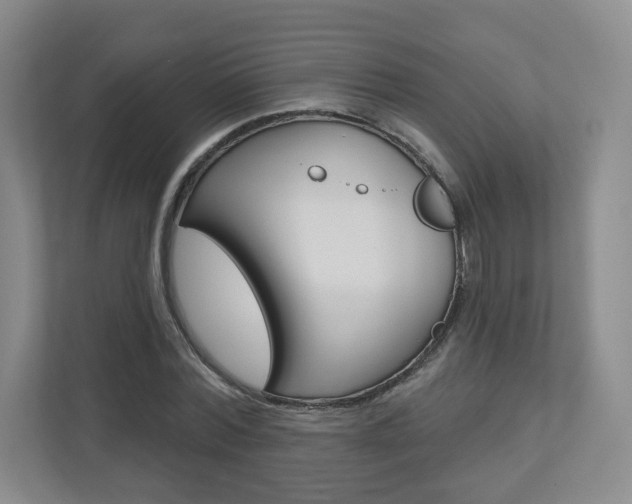 X0000110920780200906181215