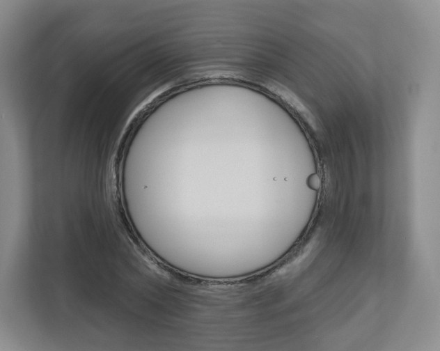X0000110920782200906181215