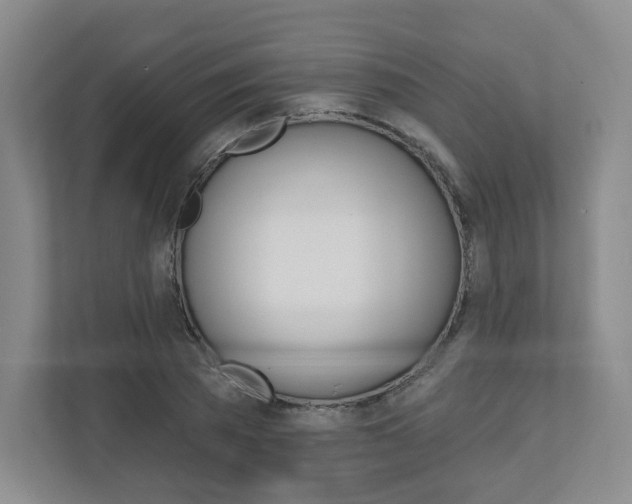 X0000110920785200906181215