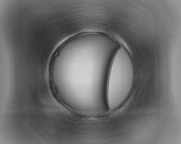 X0000110920787200906181215
