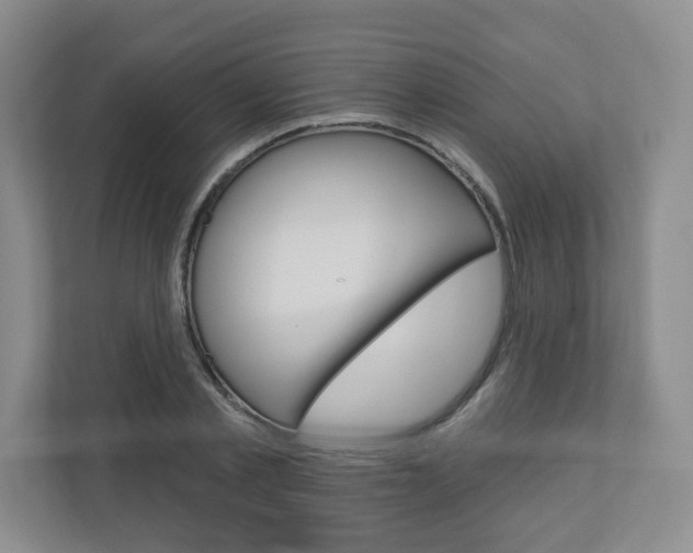 X0000110920789200906181215