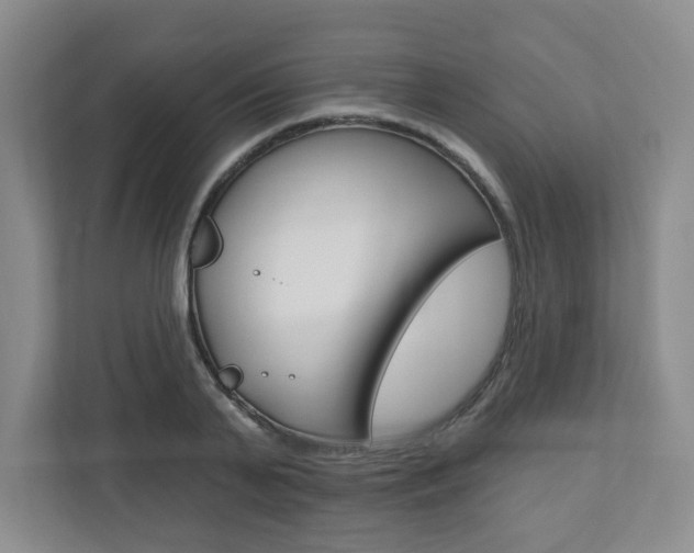 X0000110920791200906181215