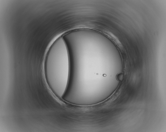 X0000110920796200906181215