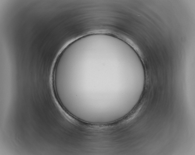 X0000110920803200906181215