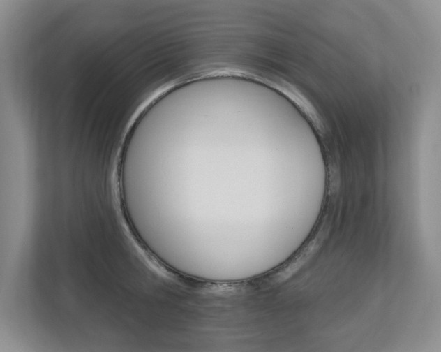 X0000110920806200906181215