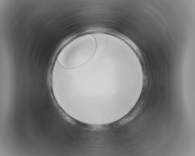 X0000110920807200906181215