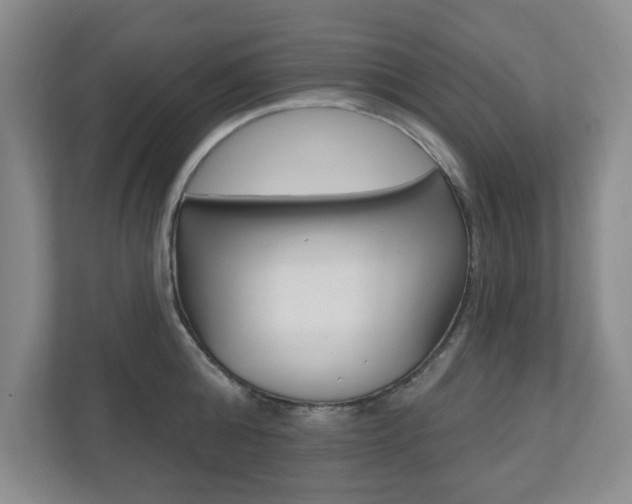 X0000110920808200906181215