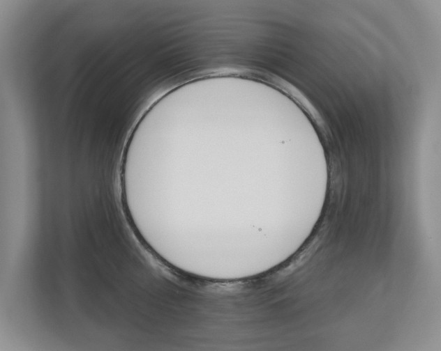X0000110920810200906181215