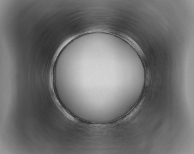 X0000110920812200906181215