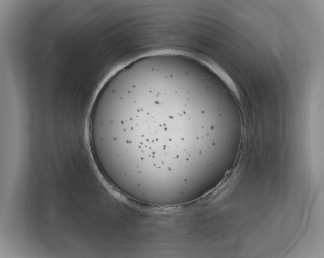 X0000110920813200906181215