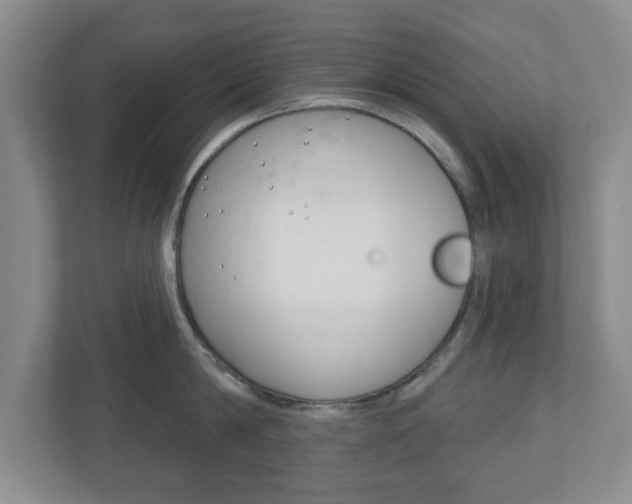 X0000110920814200906181215