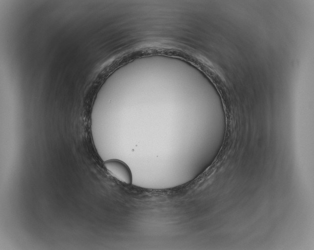 X0000110920822200906181214