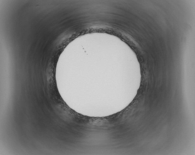 X0000110920824200906181214