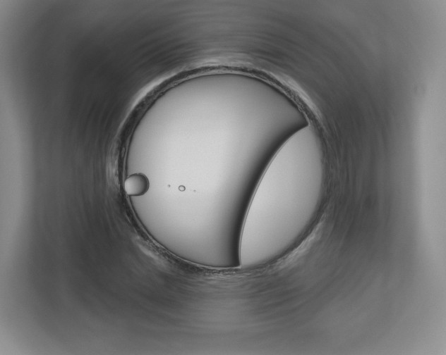 X0000110920830200906181214
