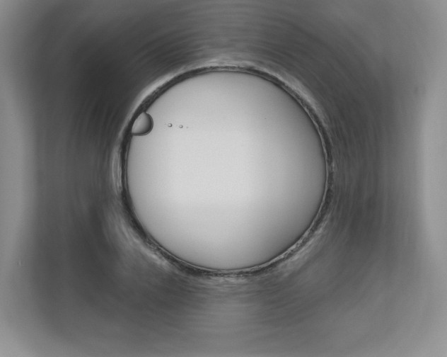 X0000110920838200906181214