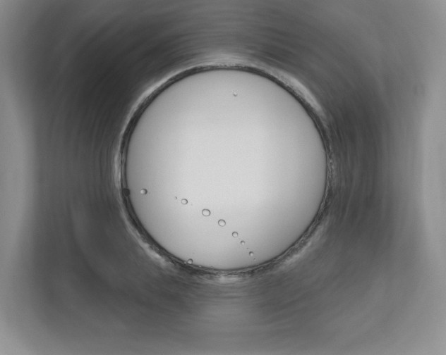 X0000110920839200906181214