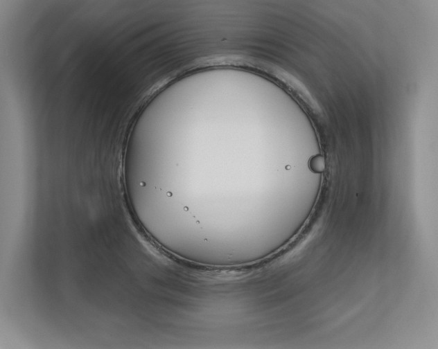 X0000110920841200906181214