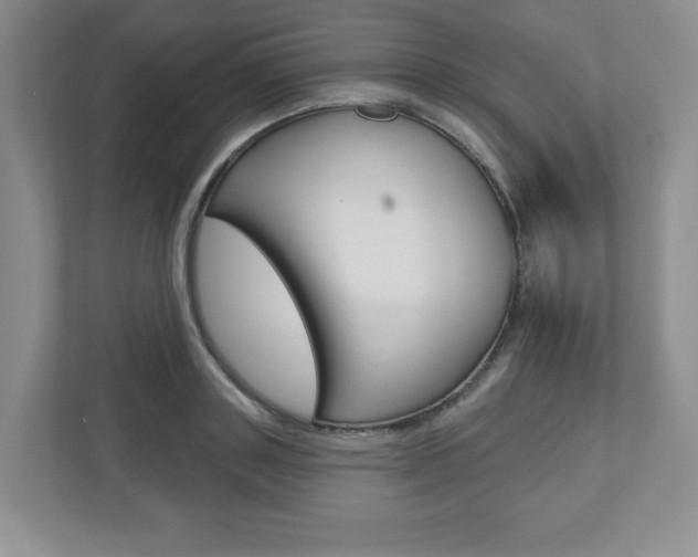 X0000110920843200906181214