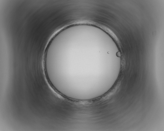 X0000110920847200906181214