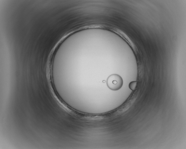 X0000110920851200906181214