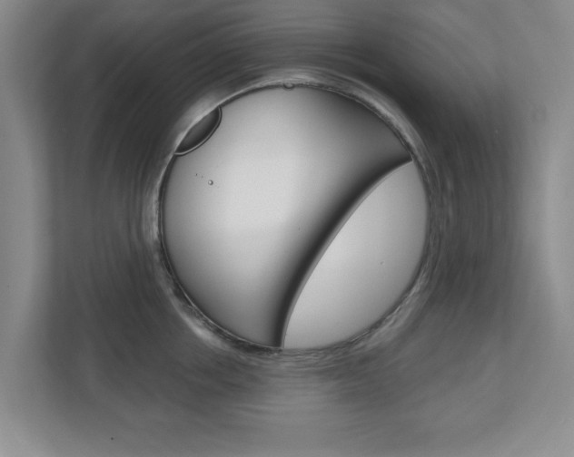 X0000110920858200906181214