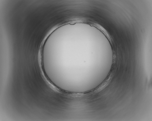 X0000110920859200906181214