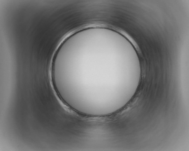 X0000110920861200906181214