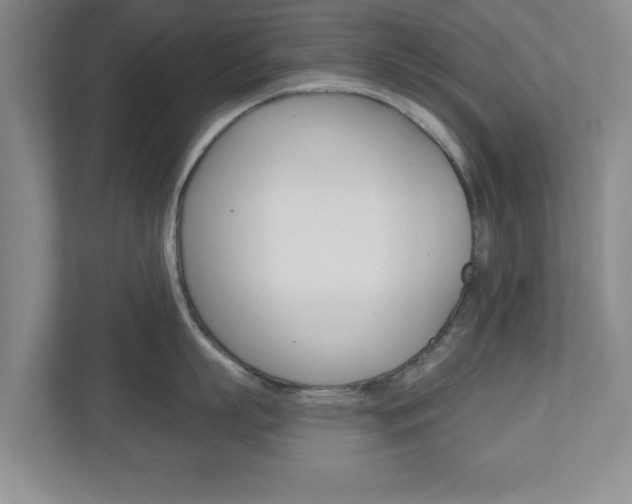 X0000110920863200906181214