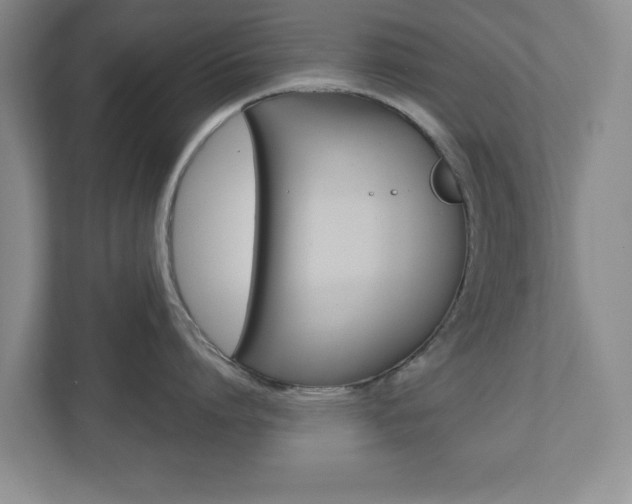 X0000110920864200906181214
