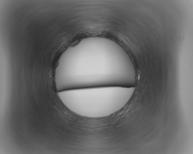 X0000110920867200906181214