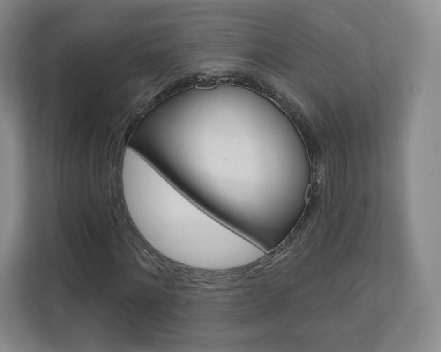 X0000110920868200906181214