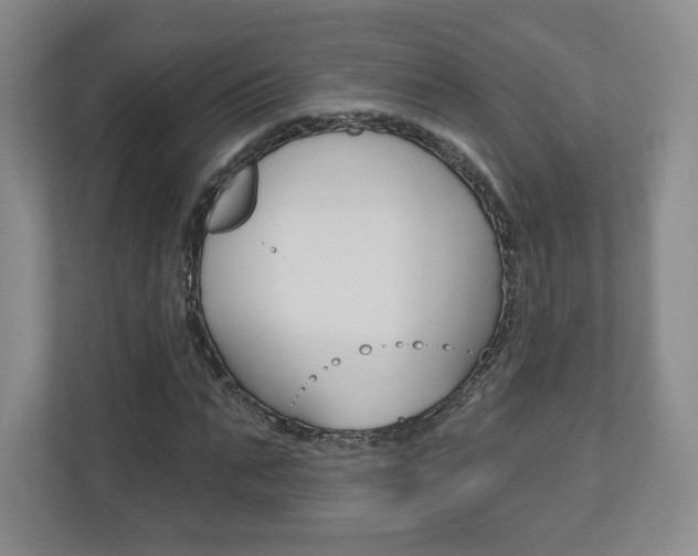 X0000110920871200906181214
