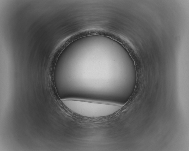 X0000110920872200906181214