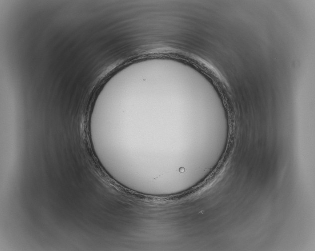 X0000110920873200906181214