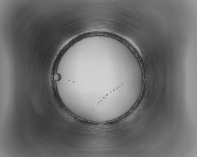 X0000110920879200906181214