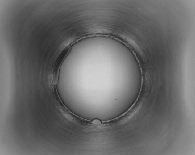 X0000110920881200906181214