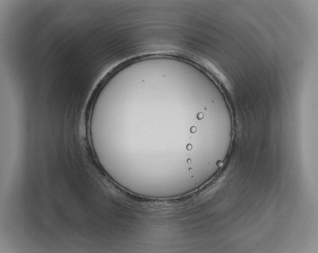 X0000110920883200906181214