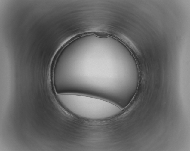 X0000110920884200906181214