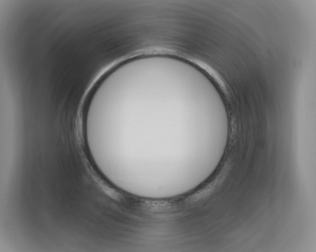 X0000110920886200906181214