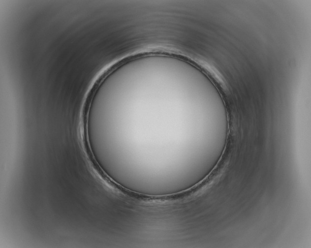 X0000110920888200906181214