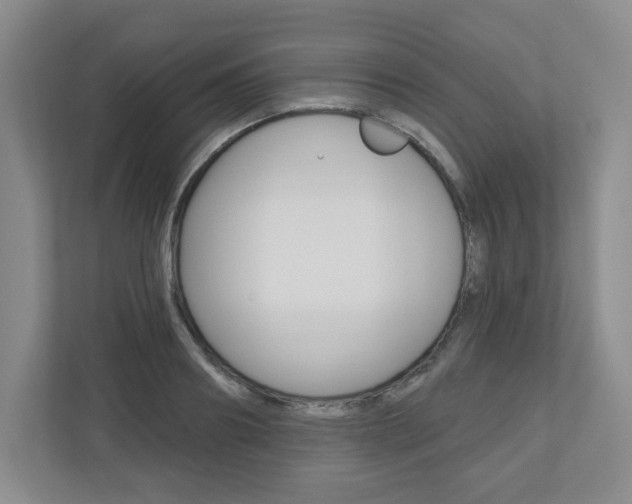 X0000110920890200906181214
