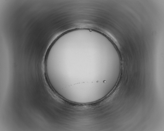 X0000110920891200906181214