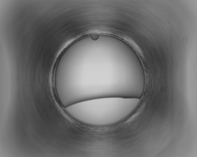 X0000110920893200906181213